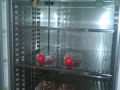 Cell Incubator