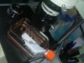 Cells under Microscope
