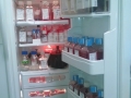 Fridge with Cell Culture Media