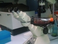 Microscope